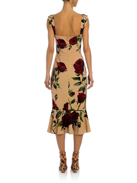 dolce gabbana rose print dress|dolce gabbana rose print midi dress.